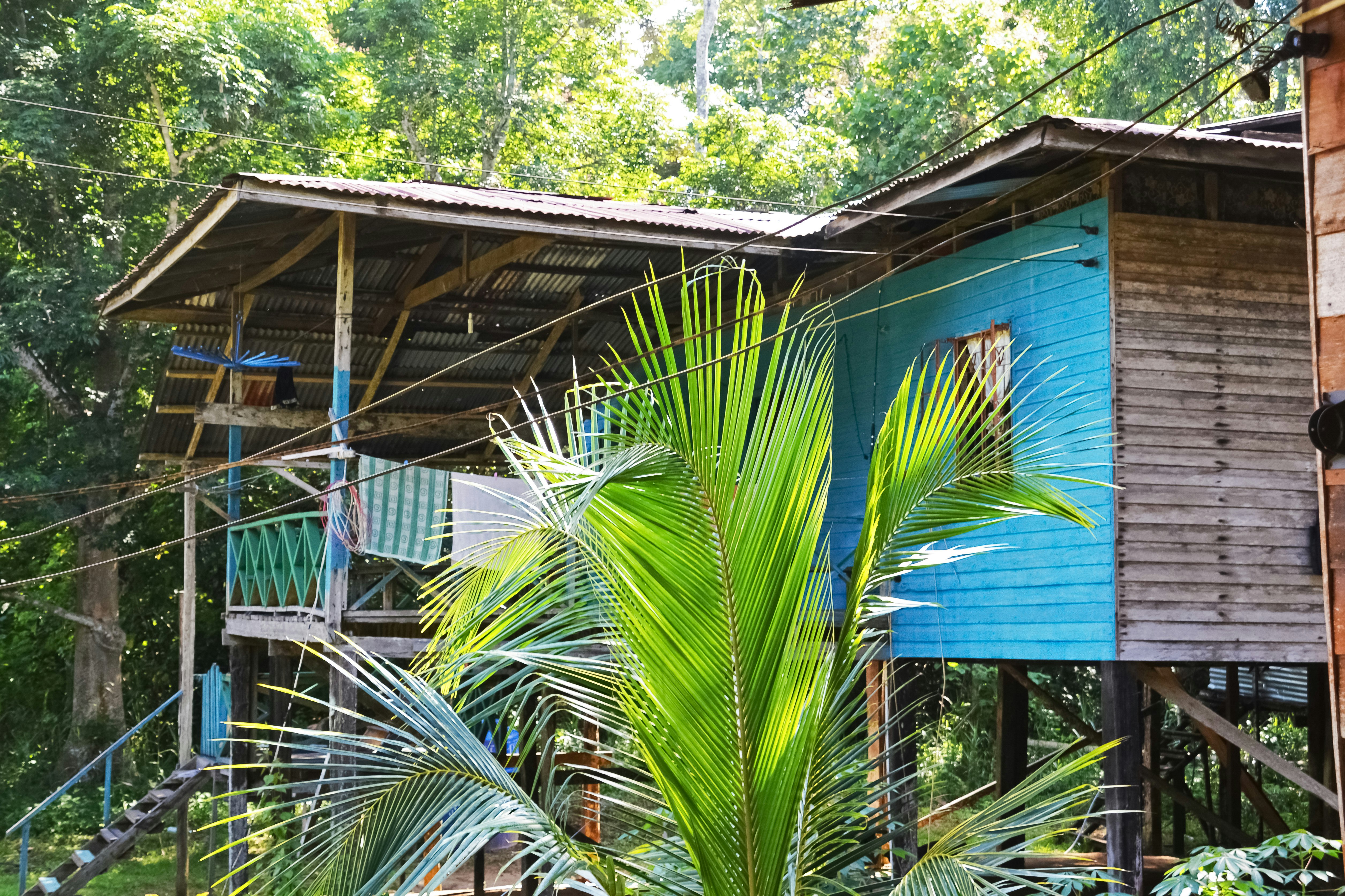 blue wooden house surrounded by green trees during daytime